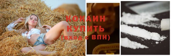 спиды Алзамай