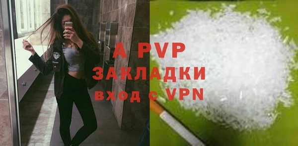 индика Абаза