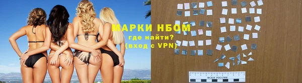 ГАЛЛЮЦИНОГЕННЫЕ ГРИБЫ Новозыбков