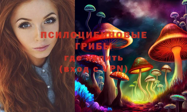 тгк Алексеевка
