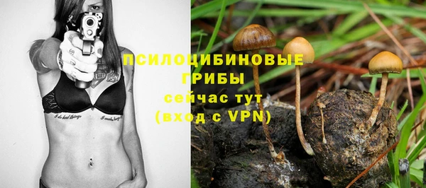тгк Алексеевка