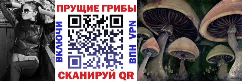 hydra зеркало  Уфа  Галлюциногенные грибы Psilocybe 
