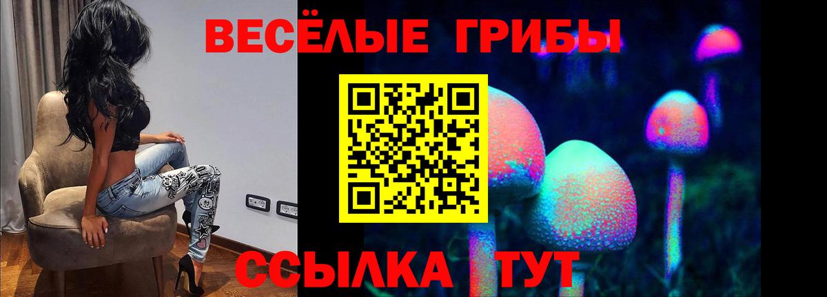 где можно купить   Вход с VPN  Уфа  Псилоцибиновые грибы Cubensis 